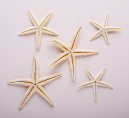 dried starfish on a light background, pattern