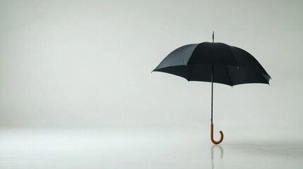 Stylish Black Designer Umbrella for Rainy Days