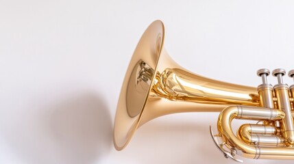 Naklejka premium Shiny brass instrument with intricate detailing reflecting light