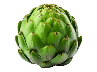Fototapeta premium Vibrant green artichoke, isolated on white. Perfect for culinary, health, or vegetarian themed projects. High-resolution image ideal for print or web use. Showcase your fresh food photography.