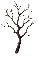 Fototapeta premium A barren tree branch showcasing intricate detail and texture.