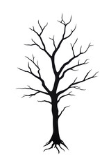 A silhouetted tree with intricate branches and no leaves.
