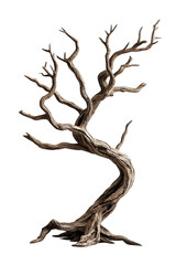 A twisted, gnarled tree with intricate branches and texture.