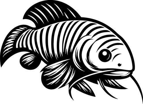 Rainbow Kribs Kribensis icon 2