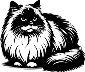 Ragamuffin icon 14