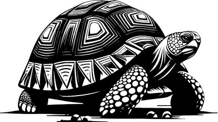 Radiated Tortoise icon 1