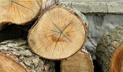 Pile of wooden logs, closeup