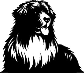 Obraz premium Pyrenean Shepherd icon 1