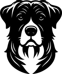 Pyrador icon 10