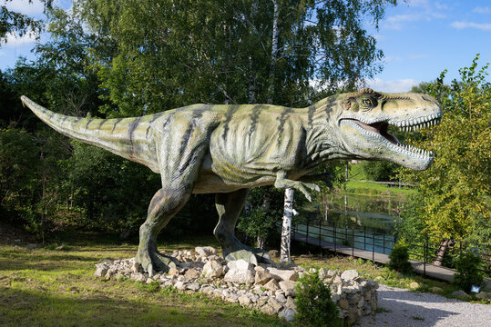KOTELNICH, RUSSIA - AUGUST 30, 2017: Sculpture of a Tyrannosaurus Rex on a sunny August day. Dinosaurs on Vyatka Theme Park