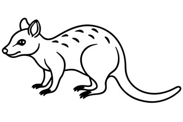 Minimalist Quoll Art