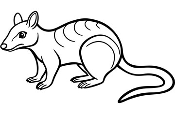 Minimalist Quoll Art