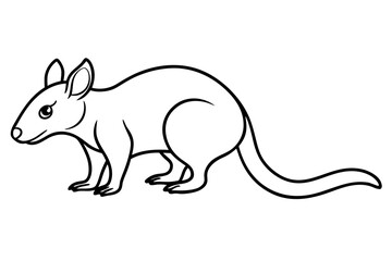 Minimalist Quoll Art