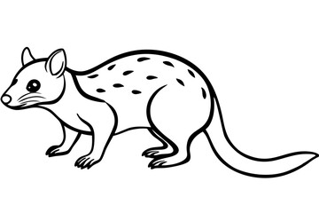 Minimalist Quoll Art