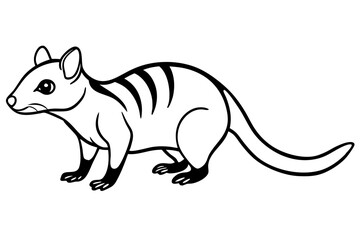 Minimalist Quoll Art