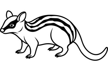Minimalist Quoll Art