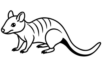 Minimalist Quoll Art