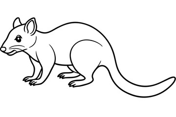 Minimalist Quoll Art
