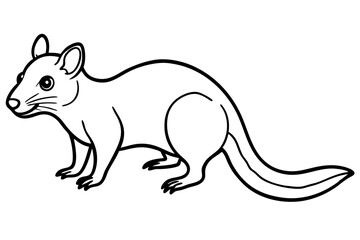 Minimalist Quoll Art