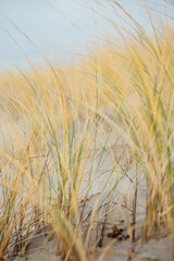 Beach at the Baltic Sea. Coastal scenery with sandy beach, dunes with marram grass and rough sea on winter day