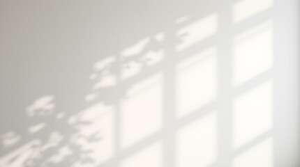 Aesthetic Window and Leaf Shadows on White Wall - Soft Natural Light and Shadow Play for Minimalist Home Decor