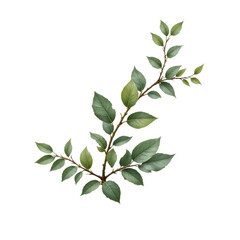 Fototapeta premium Green Leafy Branch on Transparent Background