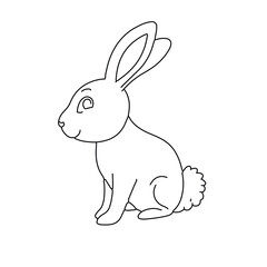 Obraz premium Rabbit icon line art color 