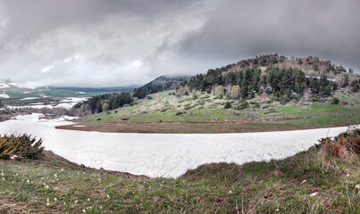 Forest on the mountain slopes of the Lago Naki plateau, Krasnodar Krai, Republic of Adygea. Winter...