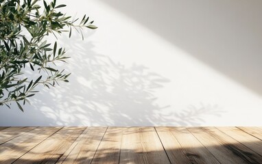 Olive Branch Sunlight on White Wall with Wood Table Surface
