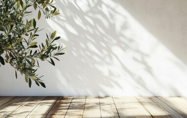 Olive Branch and Sunlight Casting Shadows on a White Wall and Wood