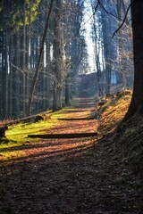 Szlak do góry św.Anny w Nowej Rudzie.