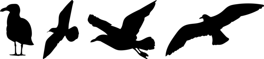 seagulls collection, set silhouette, vector on white background
