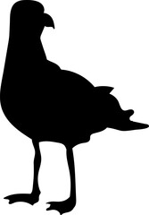 seagull silhouette, vector on white background