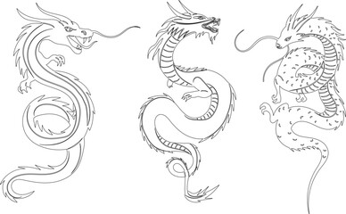 Fototapeta premium Chinese dragons sketch, outline on white background