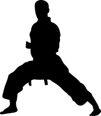 karateka silhouette, vector on white background