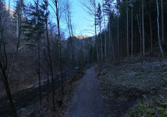 A small waterfall flows down a rugged rock face in a dense forest. Tall, leafless trees surround the area, and the ground is covered in dry leaves. The scene feels serene and untouched by humans.