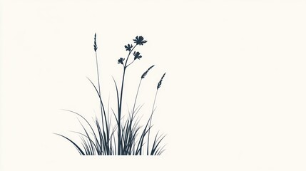 Silhouetted wildflowers and grasses, nature background, design element