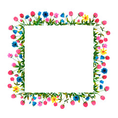 Wildflowers and clover flowers background. Set of frames of watercolor berries and clovers, dragonflies, butterflies, bumblebees and bees. Clip art, design element.