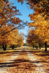 Naklejka premium Scenic avenue adorned with vibrant autumn foliage under a clear blue sky