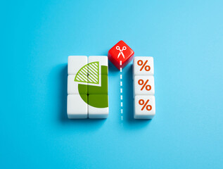 Budget cuts. Reduction of budget expenditures. Reduce spending to optimize resources and balance...