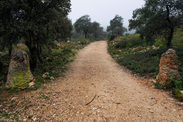 Pista forestal con monticulos para cerrar el camino en el parque natural San Antonio, Alcoy, España