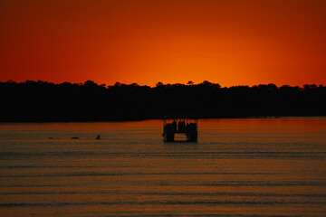 Silhouettes of boat and hippopotamus at sunset on the Zambezi River in Zimbabwe