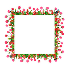Fresh red currant berries and clover flowers background. Set of frames of watercolor berries and clovers, dragonflies, butterflies, bumblebees and bees. Clip art, design element.