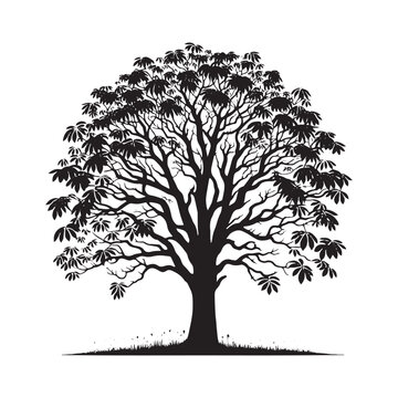 recommend clip art: Black Walnut Tree Vector - Silhouette of Black Walnut tree - Tree art - Tree Design - Black Walnut Tree Illustration.