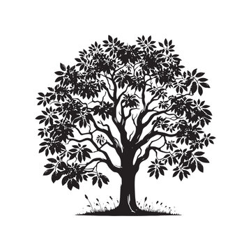 recommend clip art: Black Walnut Tree Vector - Silhouette of Black Walnut tree - Tree art - Tree Design - Black Walnut Tree Illustration.