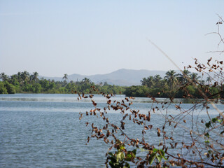 waterways for ships and vessels in south india