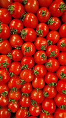 Cocktail Tomato. Top view of ripe red tomatoes. Natural organic food. Healthy eating. Small, oblong, red cocktail tomatoes. Fresh summer vegetables. Tomato background