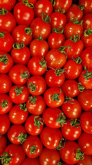 Cocktail Tomato. Top view of ripe red tomatoes. Natural organic food. Healthy eating. Small, oblong, red cocktail tomatoes. Fresh summer vegetables. Tomato background