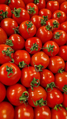 Cocktail Tomato. Top view of ripe red tomatoes. Natural organic food. Healthy eating. Small, oblong, red cocktail tomatoes. Fresh summer vegetables. Tomato background