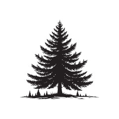 Obraz premium Silhouette of Blue Spruce Tree - Minimalist Tree Design - Blue Spruce Tree Art - Blue spruce Illustration.